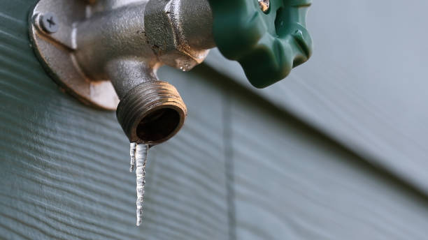 Best Clogged Drain Plumber  in Tampa, FL
