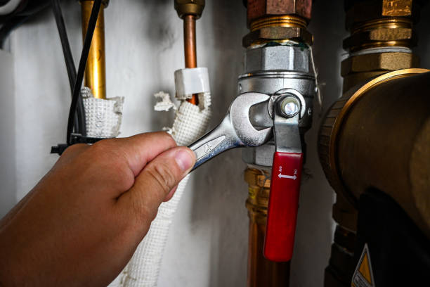 Best Plumbing Inspection Services  in Tampa, FL